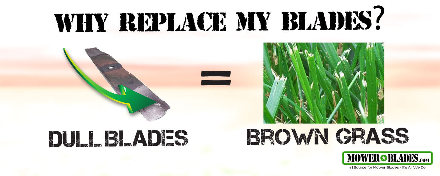 Replace My Mower Blades